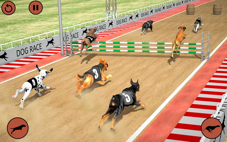 Hướng Dẫn Chơi Game Nhanh Đua Chó Tại AE888 Để Tối Ưu Thắng Lợi